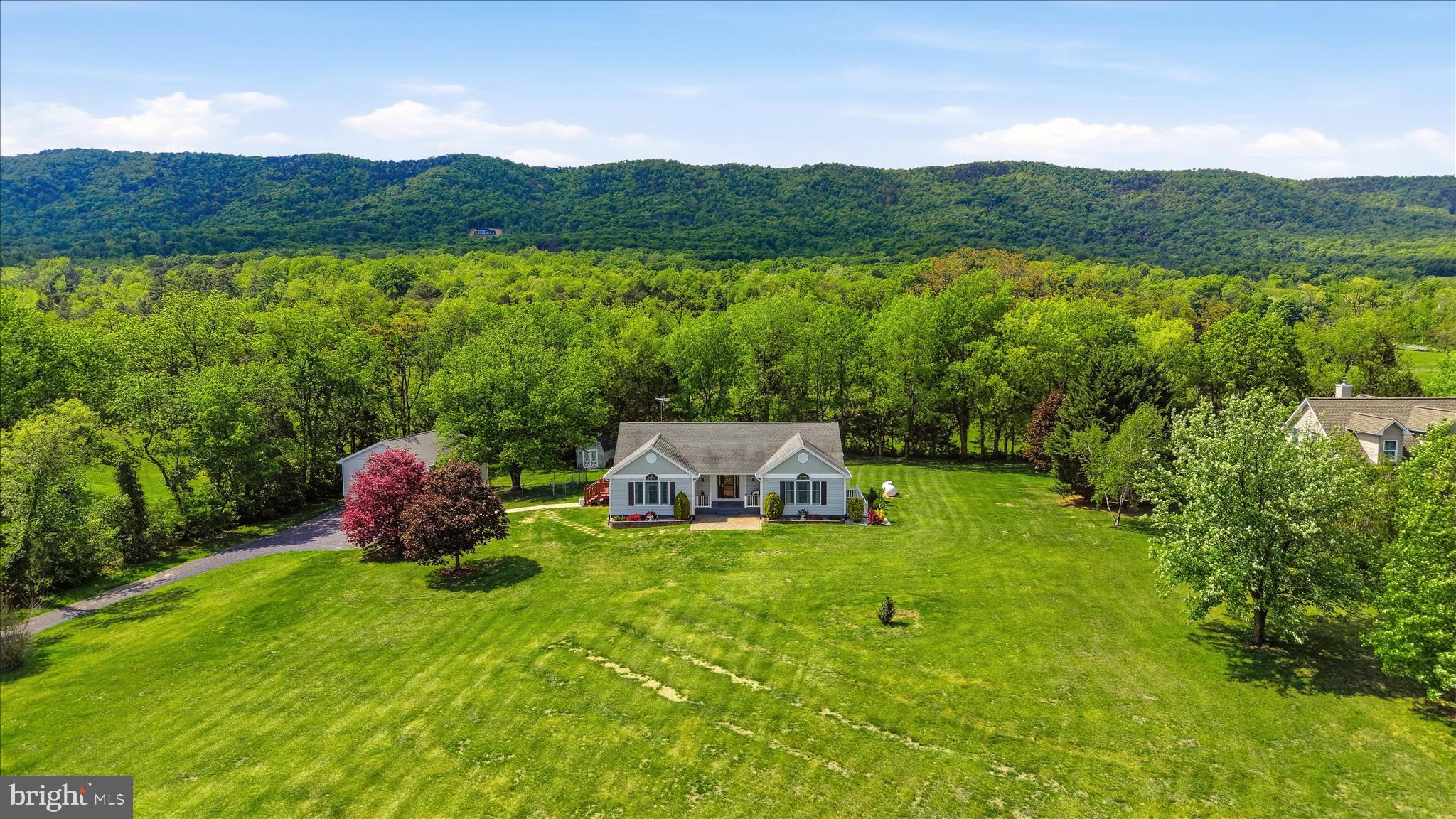 16335 Back Road Strasburg, VA 22657 - Photo 50 of 56 Aerial View