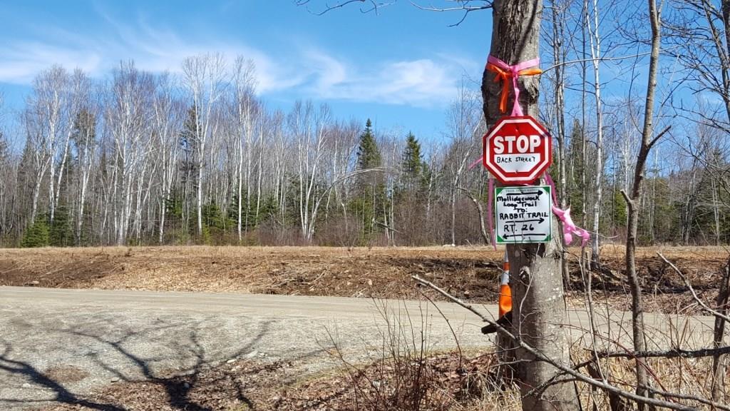 201 A Back Street Upton, ME 04261 - Photo 7 of 10 Photo