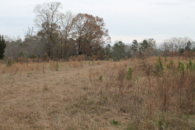 1251 Mercier Road Lincolnton, GA 30817 - Photo 3 of 5 Gallery Image 3