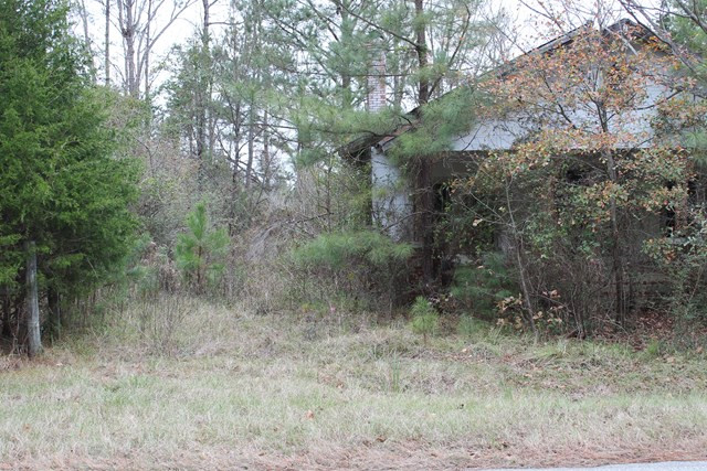 1251 Mercier Road Lincolnton, GA 30817 - Photo 4 of 5 Gallery Image 4