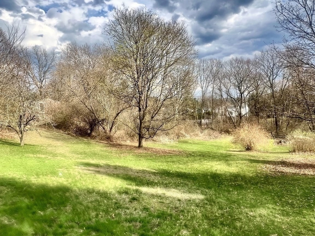131 Pleasant Valley Street Methuen, MA 01844 - Photo 5 of 23 a view of a yard with an trees