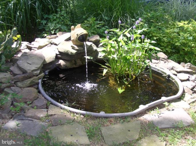 19116 Chandlee Mill Road Sandy Spring, MD 20860 - Photo 10 of 14 Water Garden 1