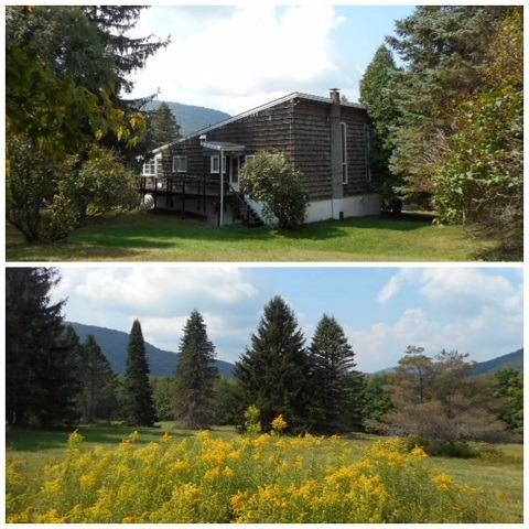 261 Gundelach Road Andes, NY 13731 - Photo 1 of 1 Gallery Image 1
