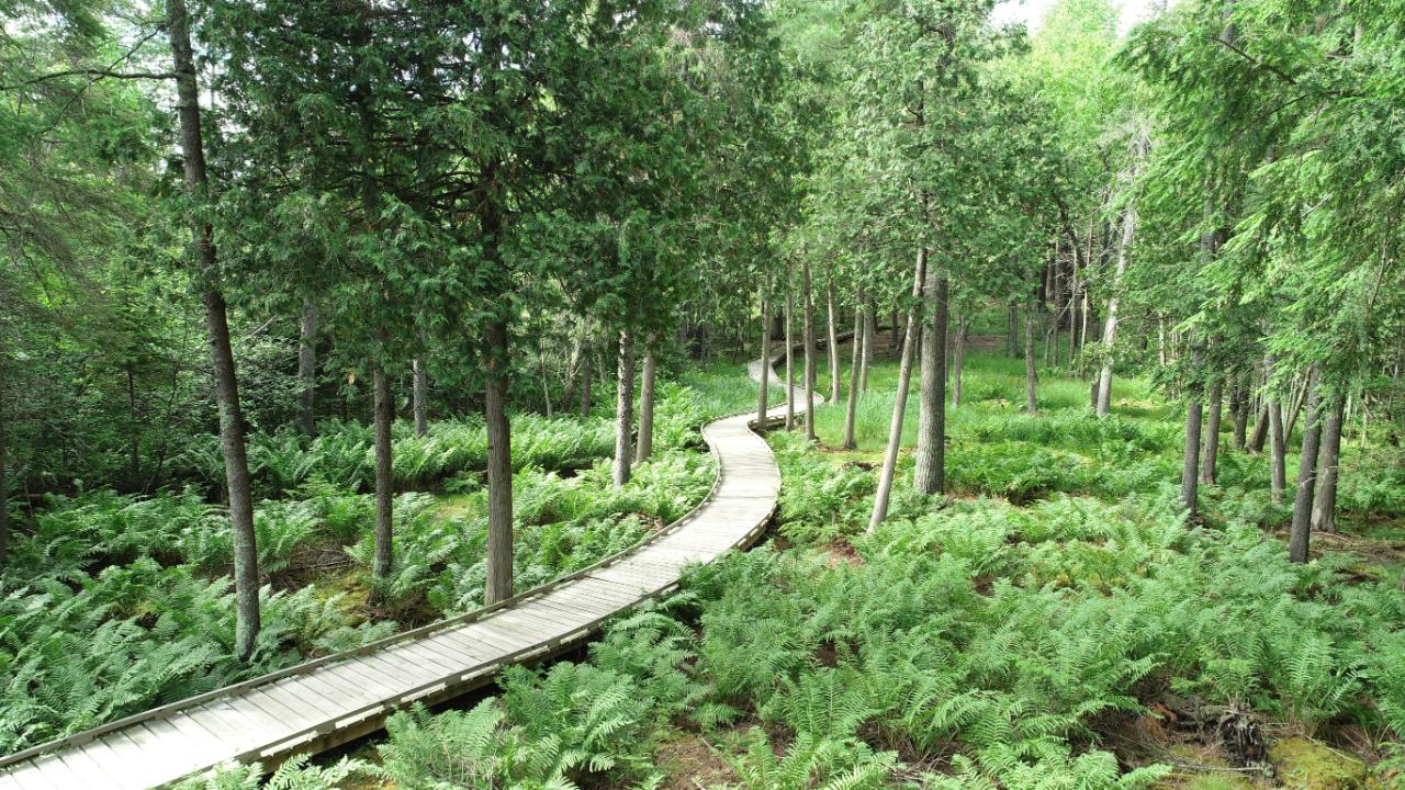 Lot 2 Everett Road Eagle River, WI 54521 - Photo 13 of 30 Gallery Image 13