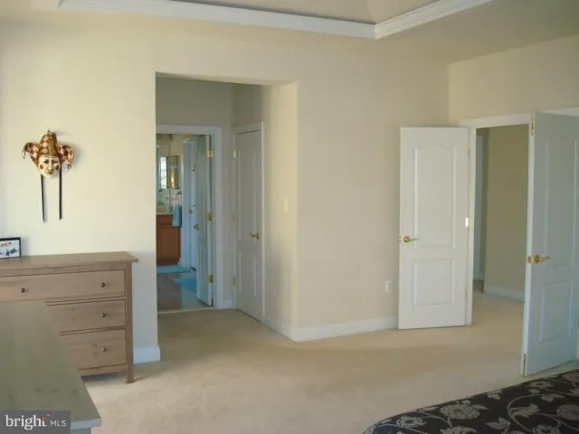 walk in closet with a mirror