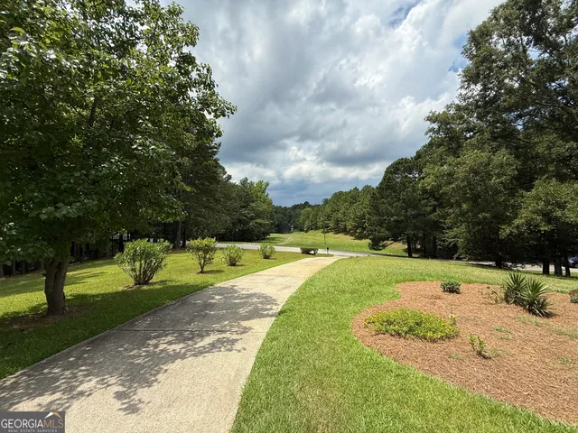 a view of a park with large trees