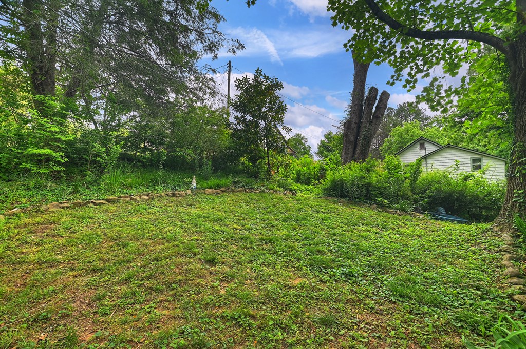 142 1st Street Copperhill, TN 37317 - Photo 8 of 24