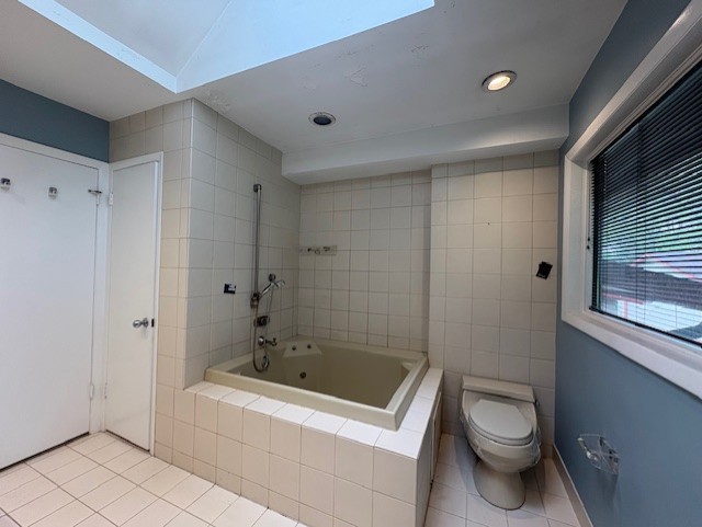617 Busse Road Mount Prospect, IL 60056 - Photo 11 of 22 a bathroom with a sink a toilet and shower