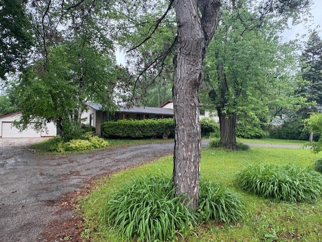 617 Busse Road Mount Prospect, IL 60056 - Photo 21 of 22 a view of a yard with a tree
