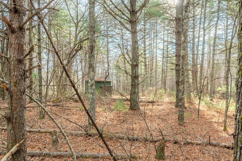 0 Marian Road Dugspur, VA 24325 - Photo 19 of 31 Gallery Image 19