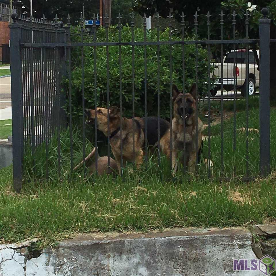 1127 Laurel Street Baton Rouge, LA 70802 - Photo 27 of 33 Security Guards