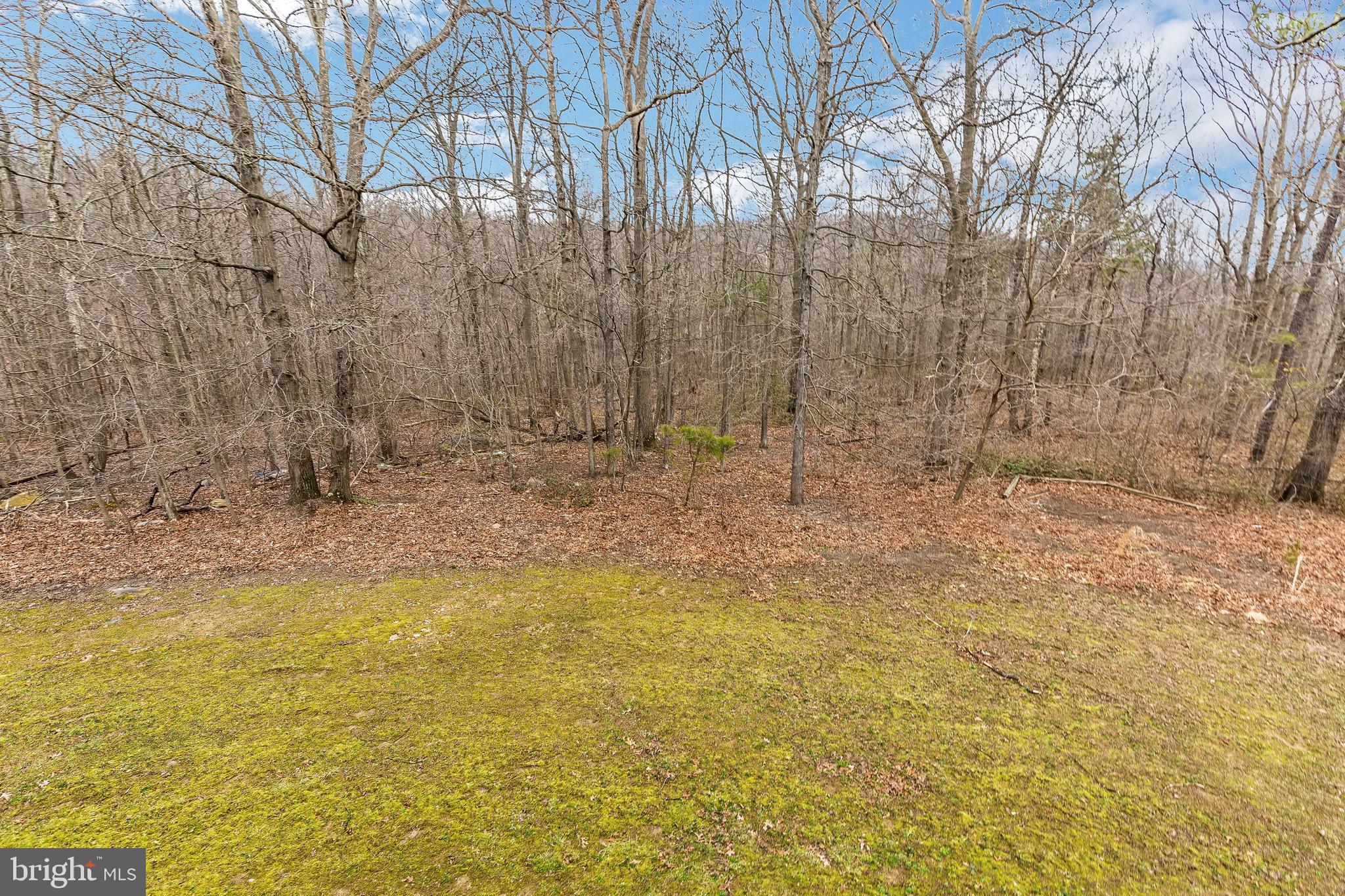 3931 Trego Mountain Road Keedysville, MD 21756 - Photo 44 of 55