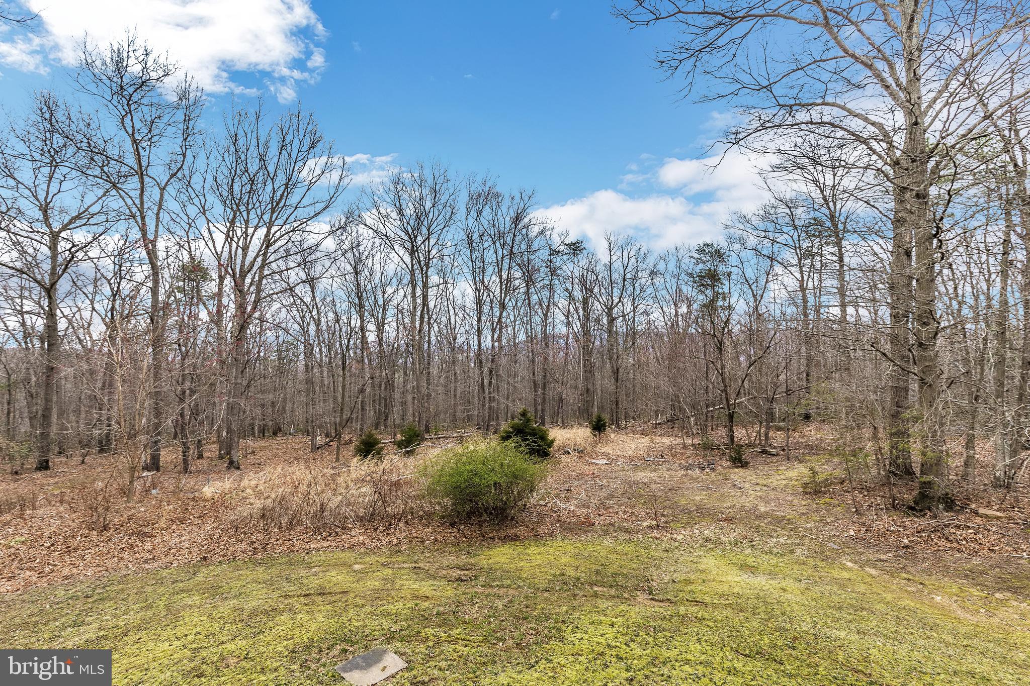 3931 Trego Mountain Road Keedysville, MD 21756 - Photo 45 of 55