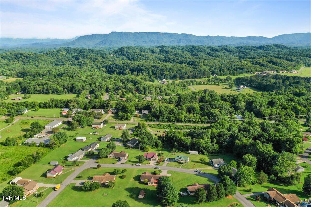 103 Sunflower Loop Seymour, TN 37865 - Photo 55 of 60 55-DJI_0800
