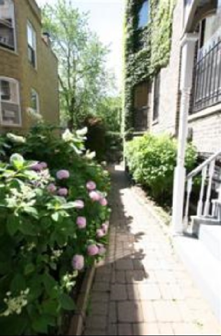 622 West Briar Place, Unit 1 Chicago, IL 60657 - Photo 15 of 20 a view of yard with flower plants