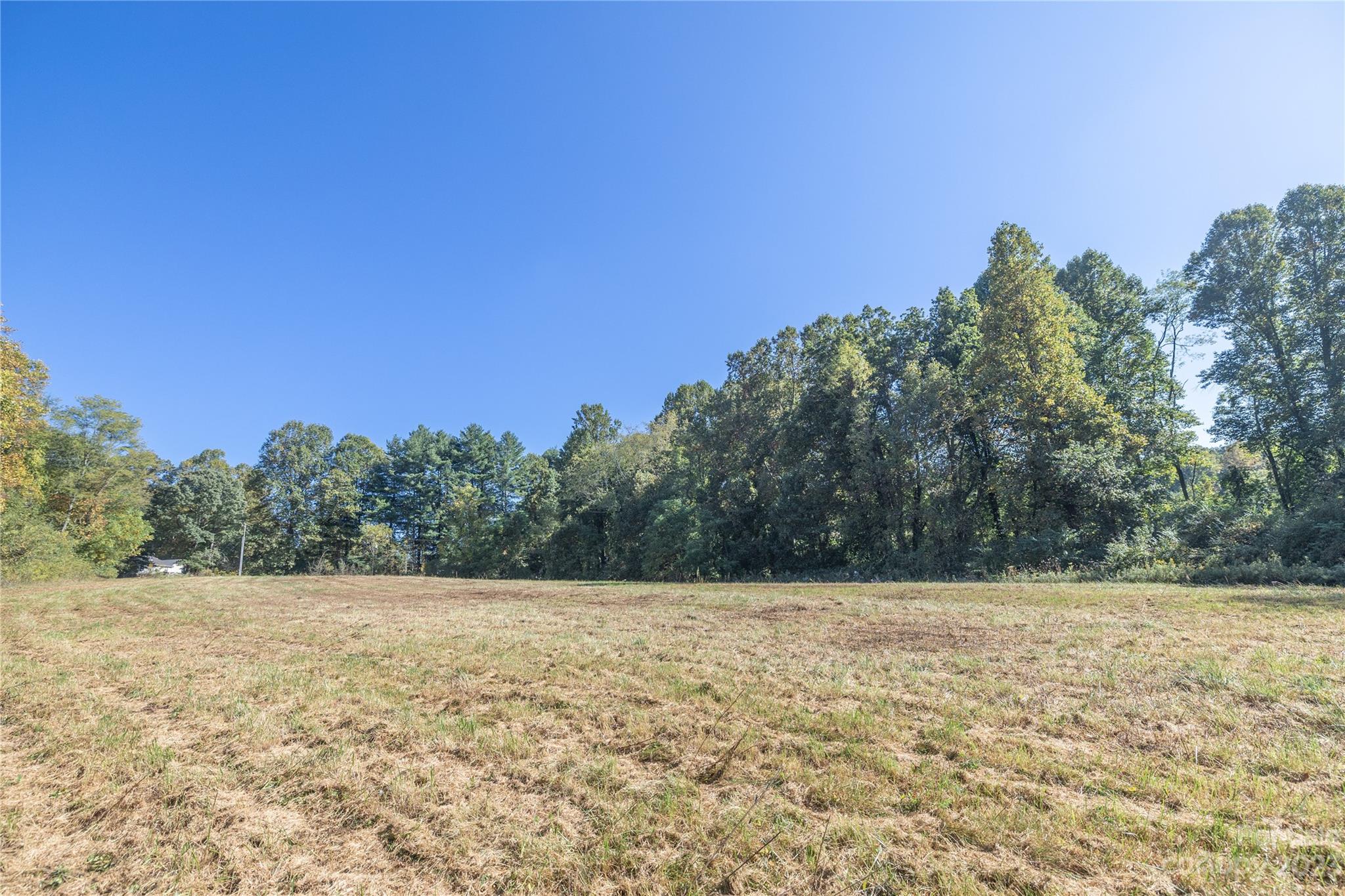 a view of a field with trees in the background