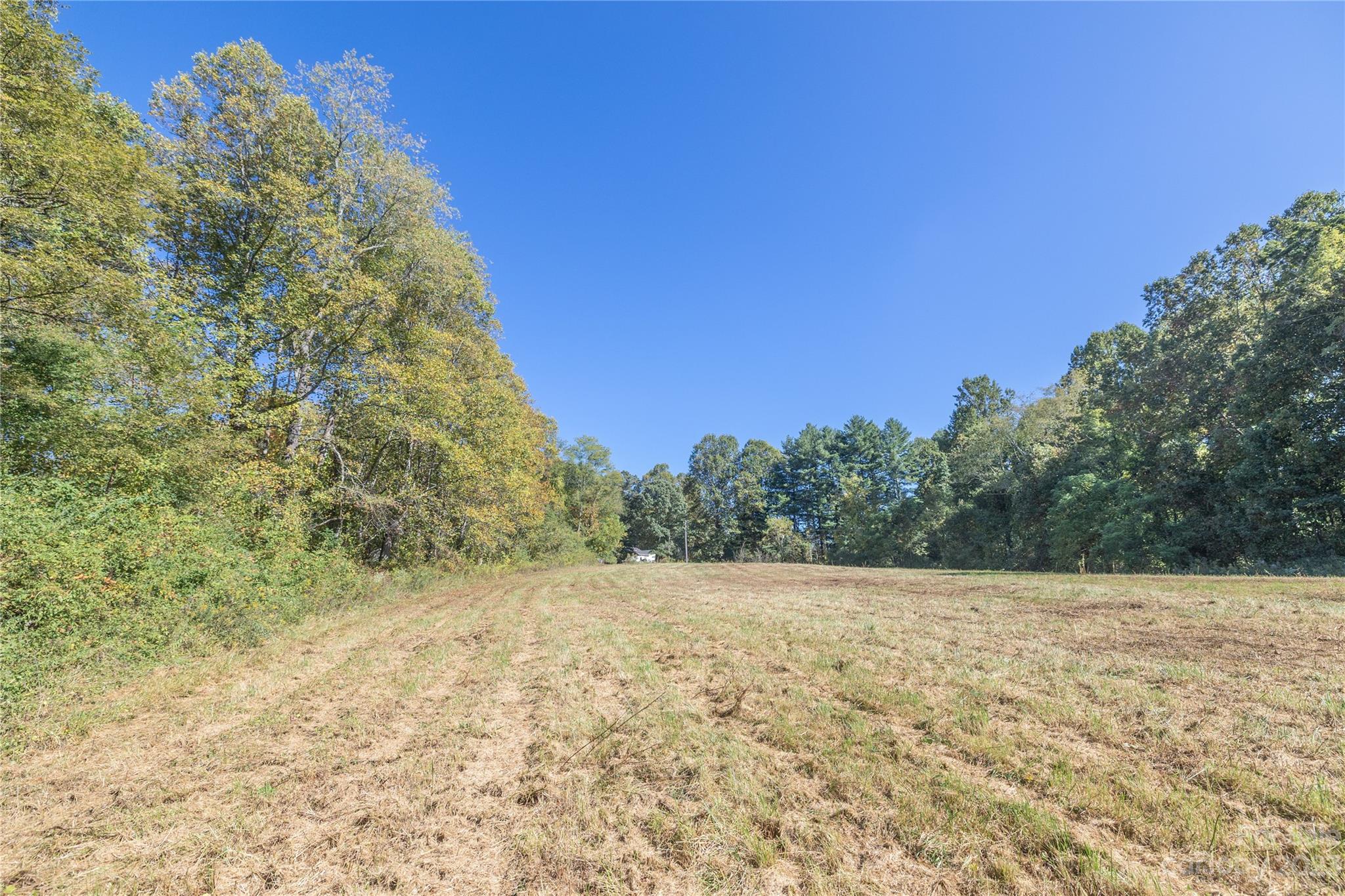 0 Howard Gap Rd Flat Flat Rock, NC 28731 - Photo 2 of 11 a view of a field with trees in the background