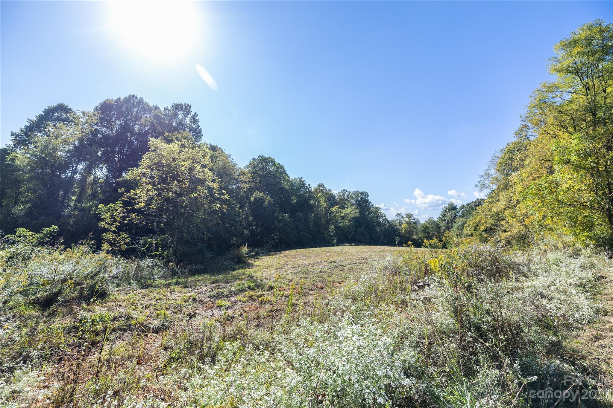 0 Howard Gap Rd Flat Flat Rock, NC 28731 - Photo 3 of 11 a view of outdoor space and trees all around