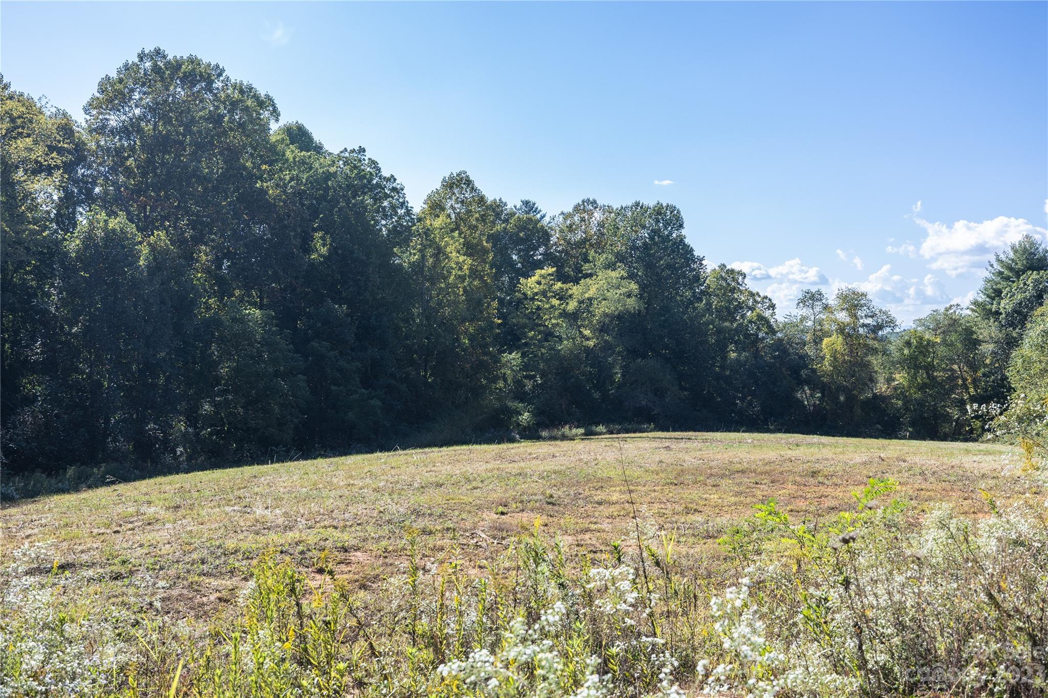 0 Howard Gap Rd Flat Flat Rock, NC 28731 - Photo 4 of 11 a view of with trees