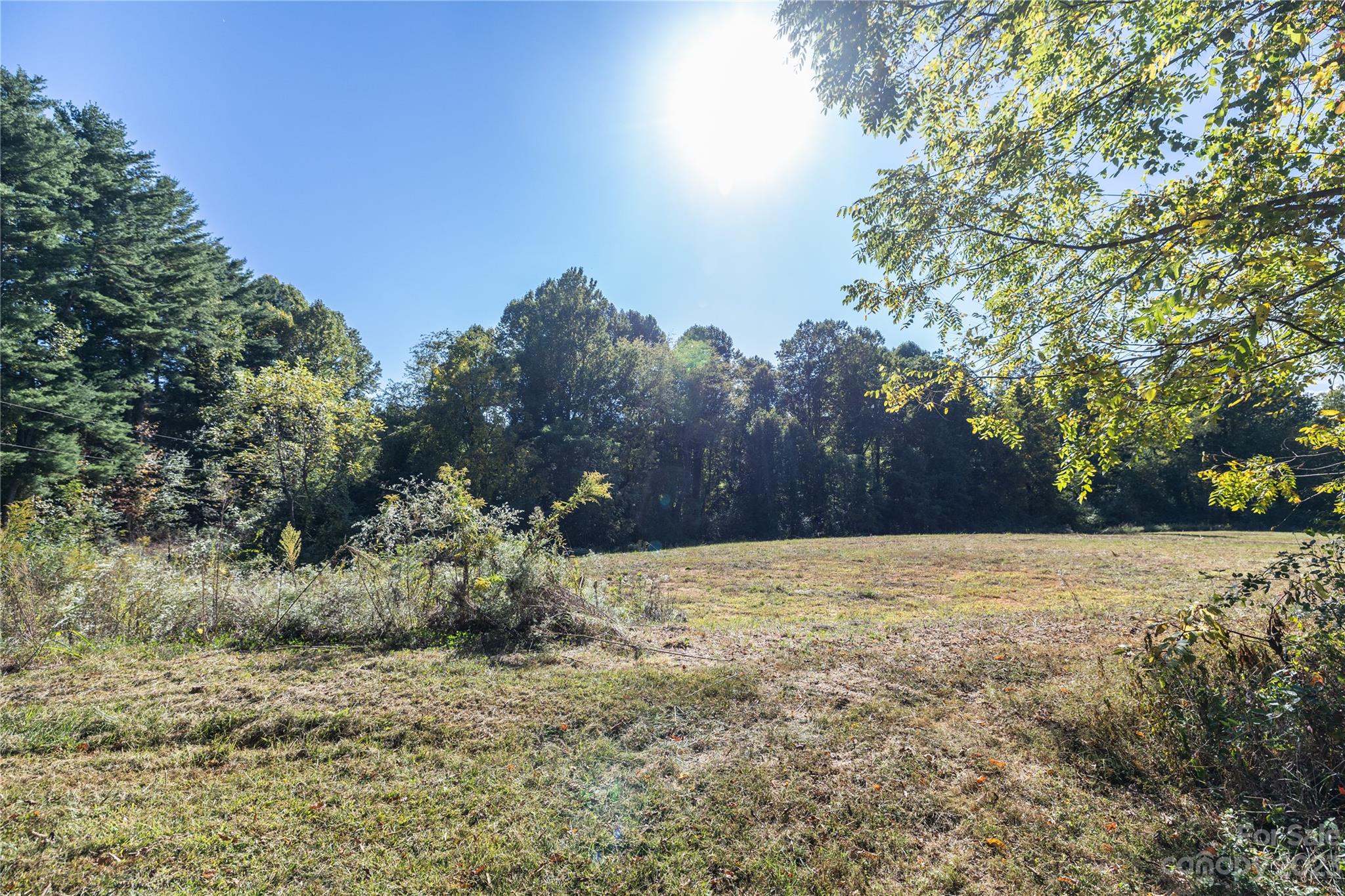 0 Howard Gap Rd Flat Flat Rock, NC 28731 - Photo 5 of 11 a backyard of a house with trees