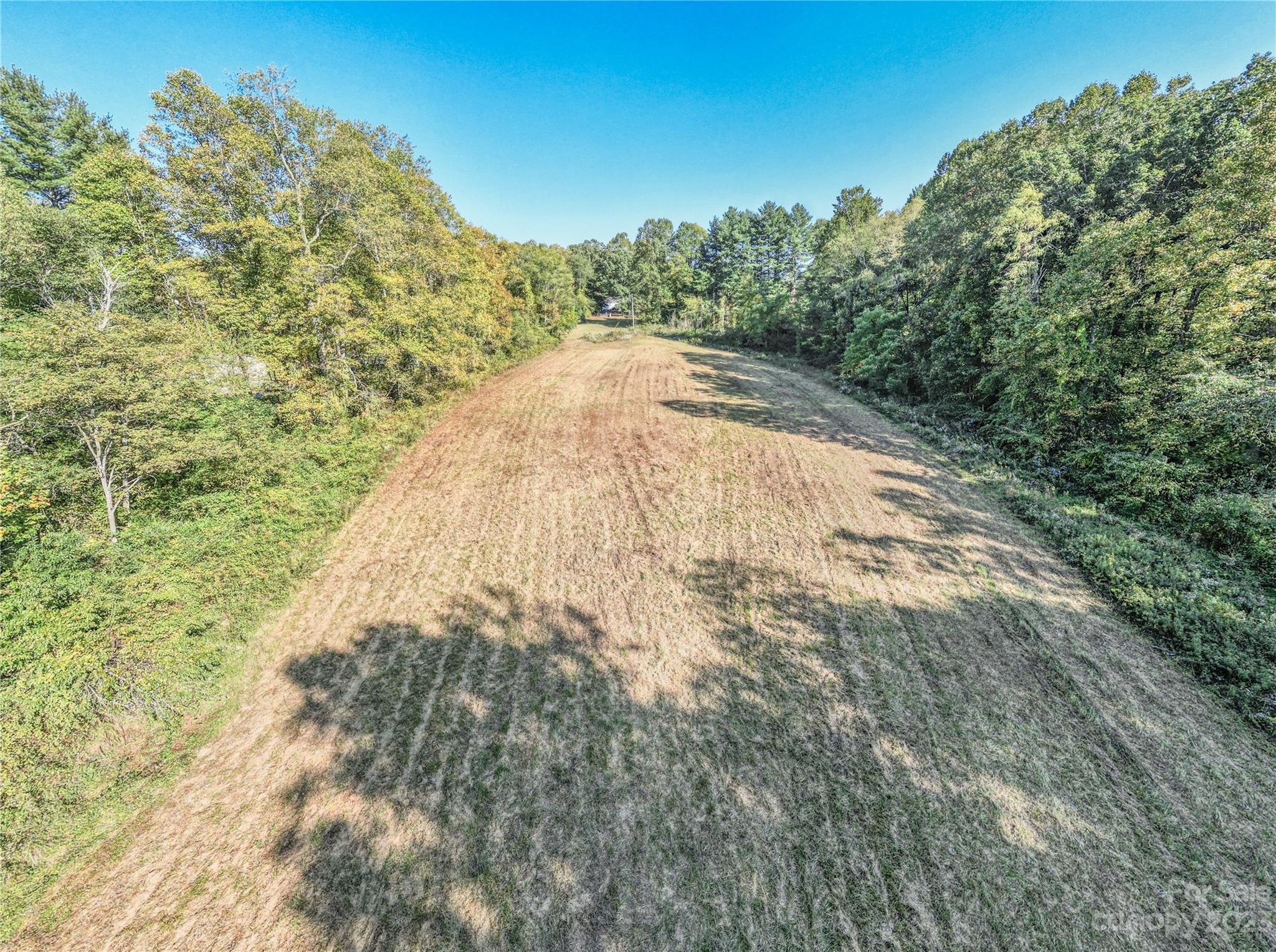 0 Howard Gap Rd Flat Flat Rock, NC 28731 - Photo 8 of 11 a view of a dry yard with trees in the background
