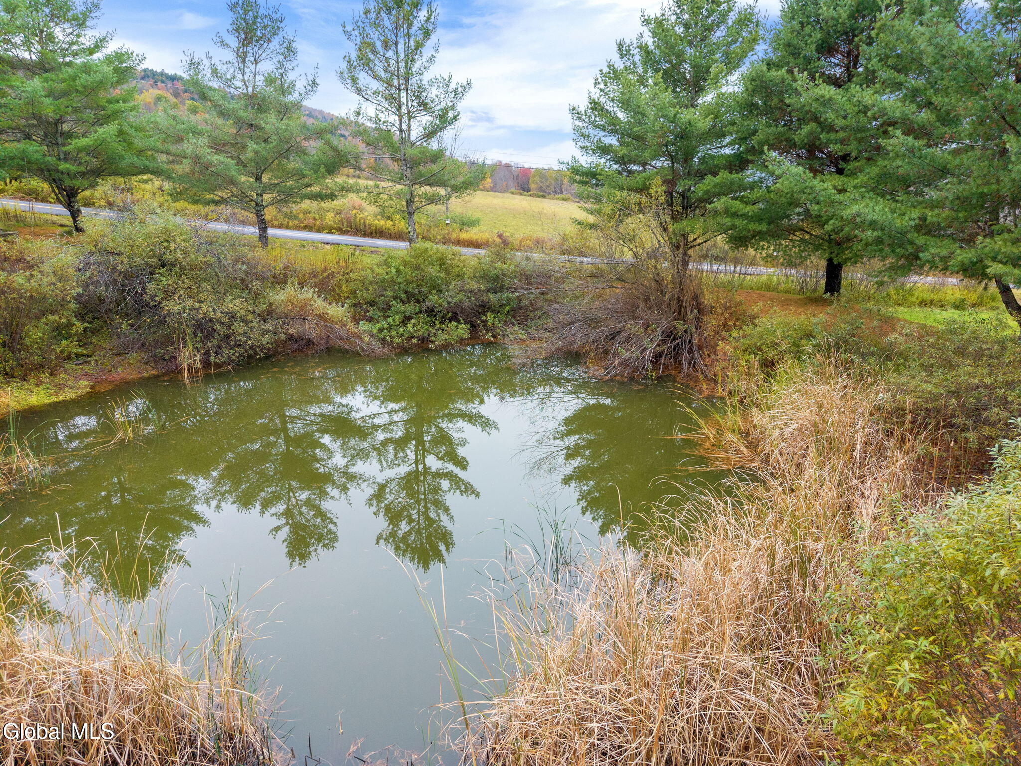 161 Meade Road Summit, NY 12036 - Photo 37 of 55 73-161MeadeRd_71