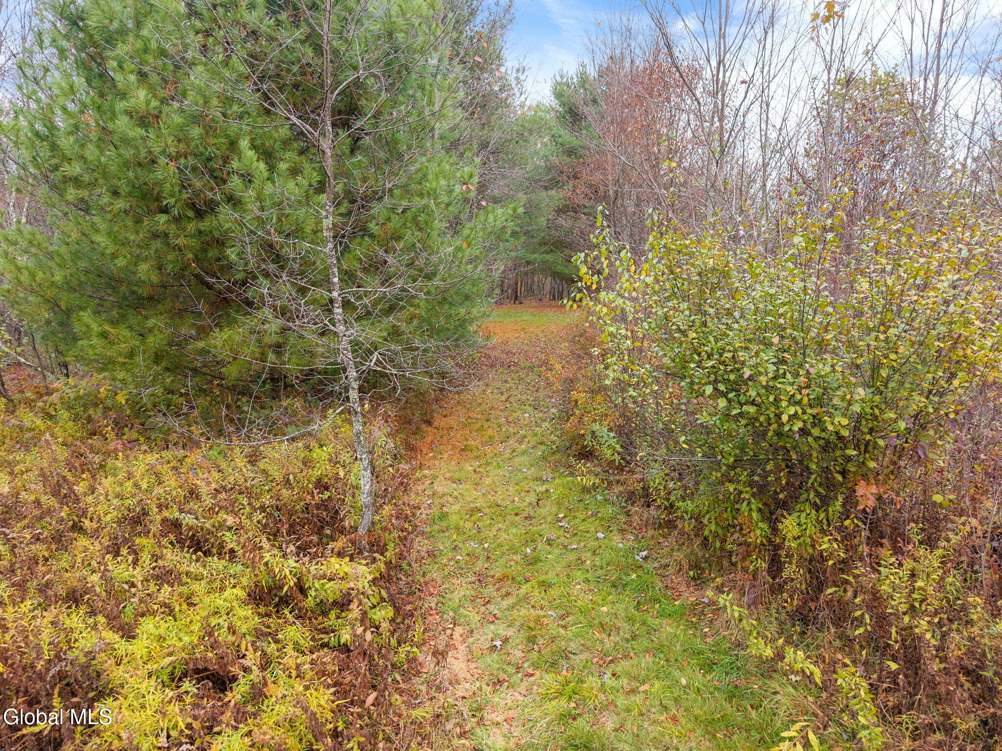 161 Meade Road Summit, NY 12036 - Photo 46 of 55 83-161MeadeRd_81