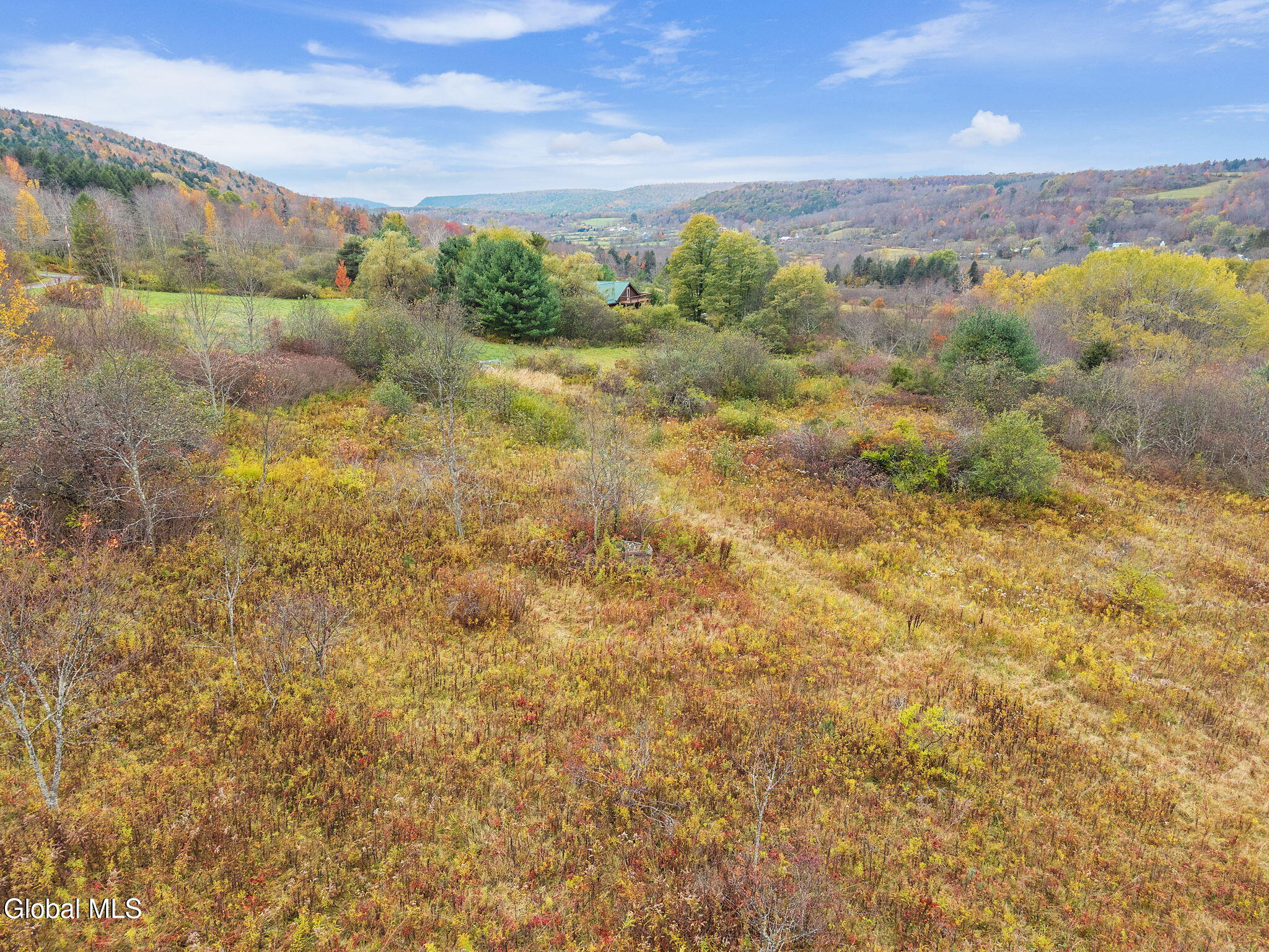 161 Meade Road Summit, NY 12036 - Photo 49 of 60 69-161MeadeRd_67