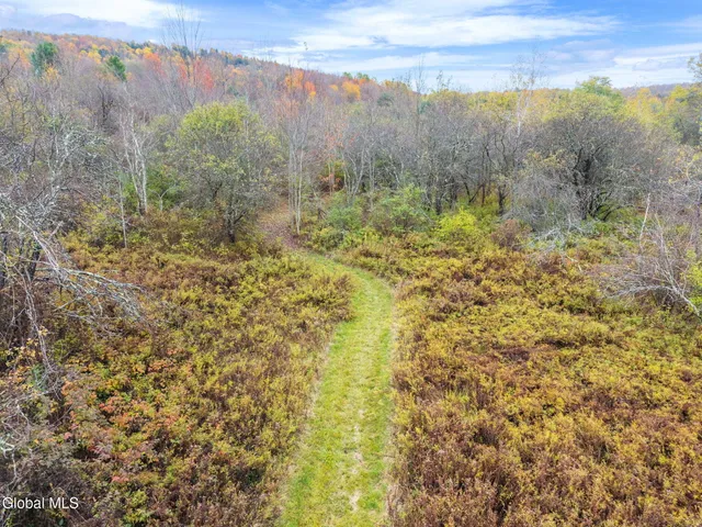 $539,900 | 161 Meade Road, Summit, NY 12036