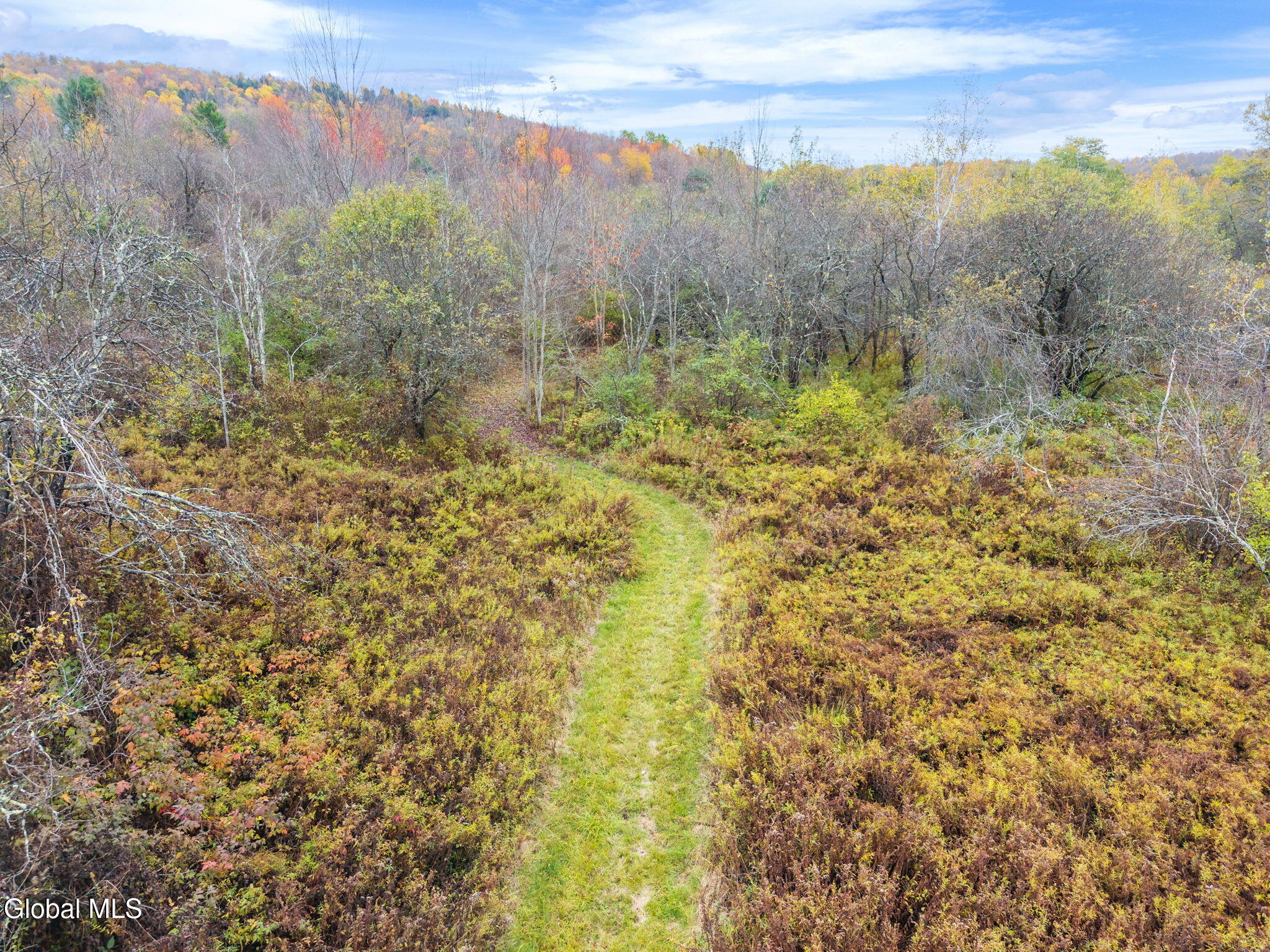 161 Meade Road Summit, NY 12036 - Photo 55 of 60 82-161MeadeRd_80