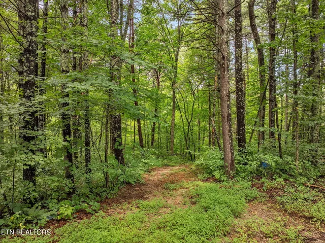 $499,900 | 351 Zac Road, Sunbright, TN 37872