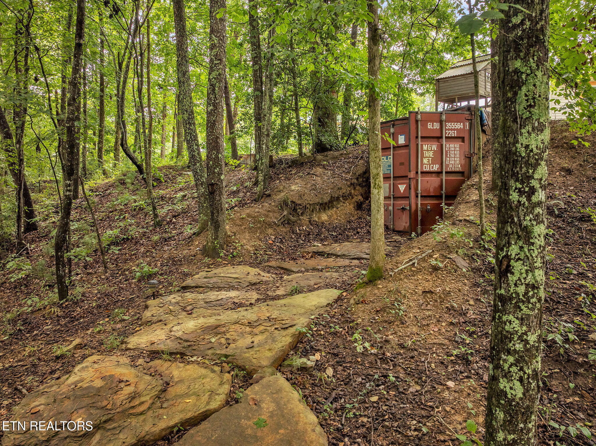 351 Zac Road Sunbright, TN 37872 - Photo 41 of 51 67-web-or-mls-Virgil Albertson--52