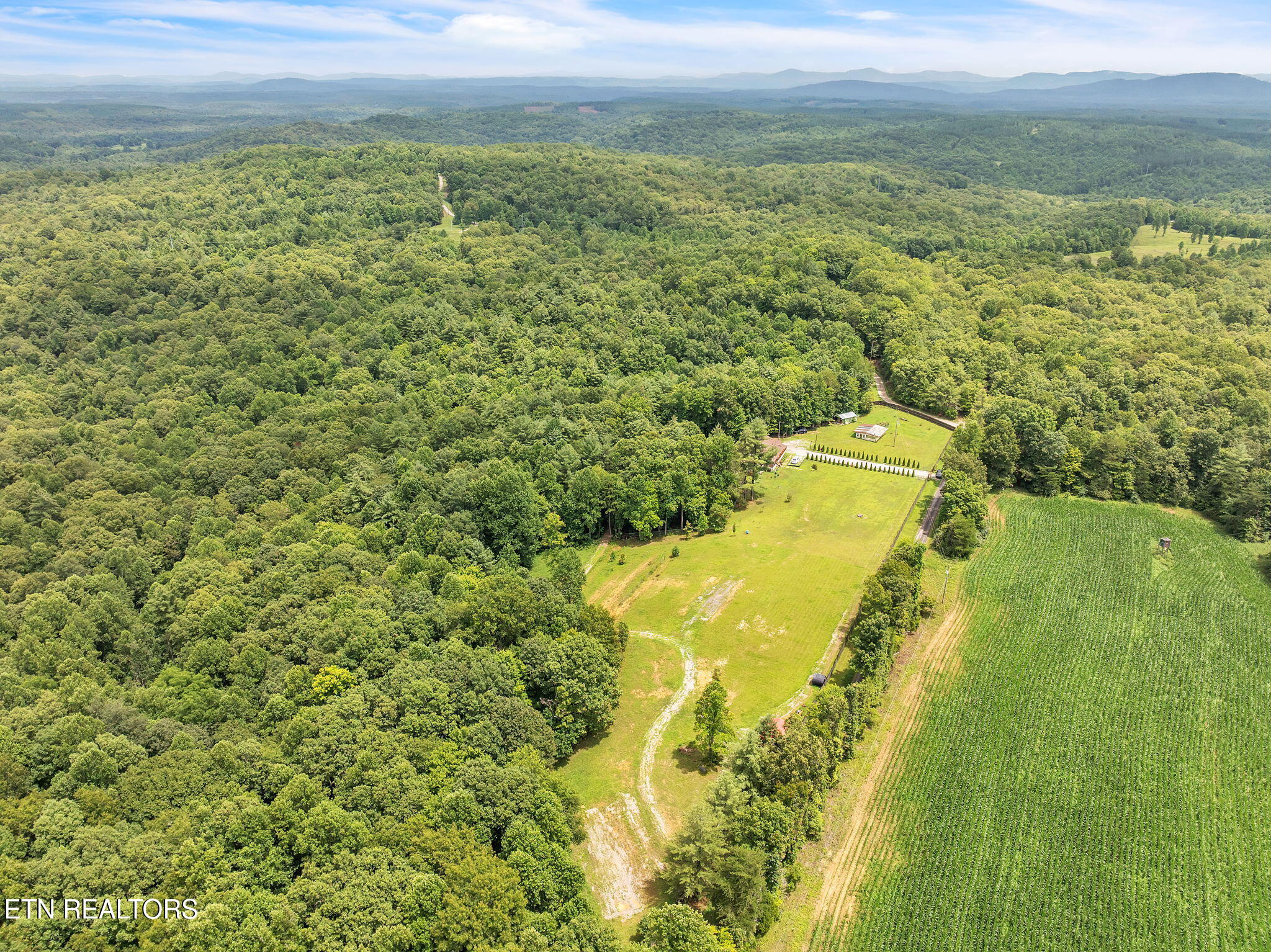 351 Zac Road Sunbright, TN 37872 - Photo 9 of 51 56-web-or-mls-Virgil Albertson--19