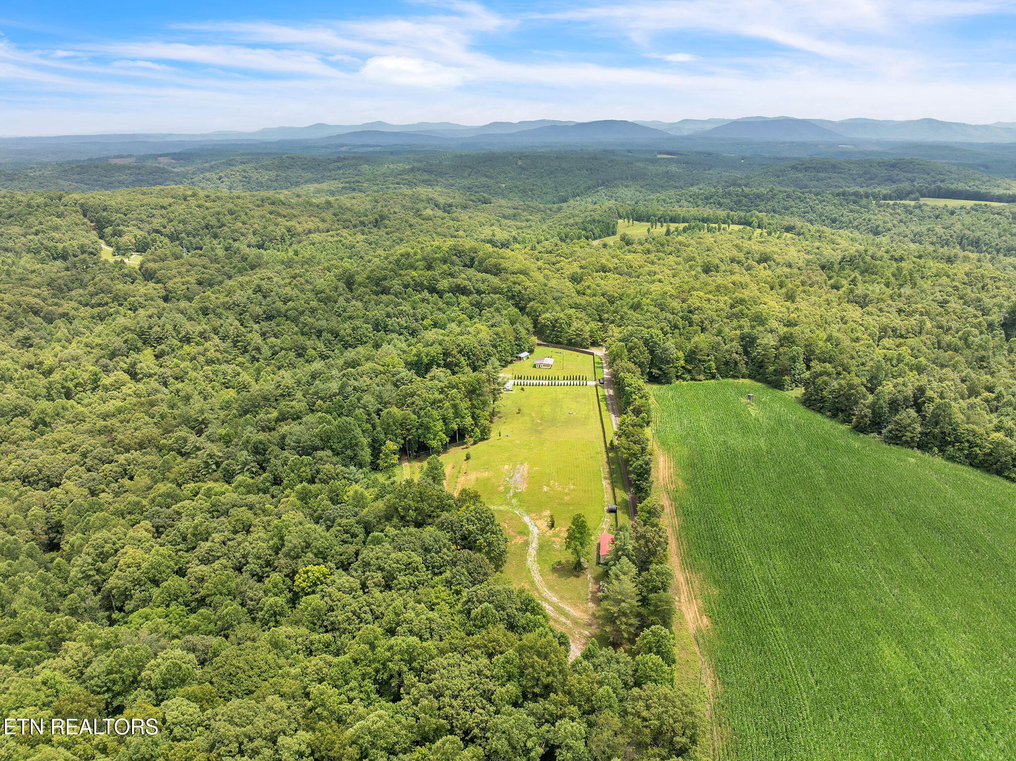 351 Zac Road Sunbright, TN 37872 - Photo 10 of 51 57-web-or-mls-Virgil Albertson--22