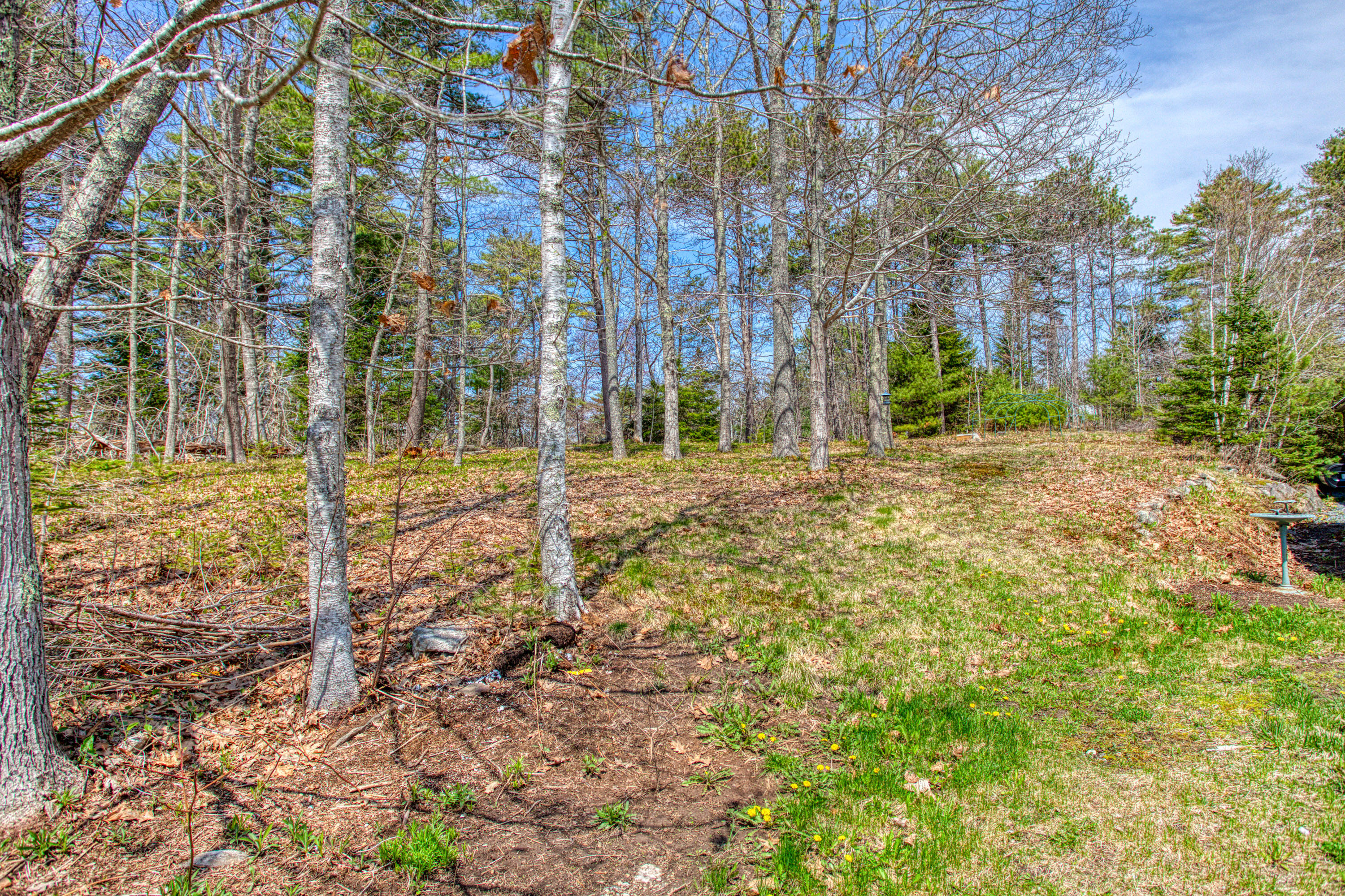 75 Reed Road Boothbay Harbor, ME 04538 - Photo 34 of 36 Back Yard