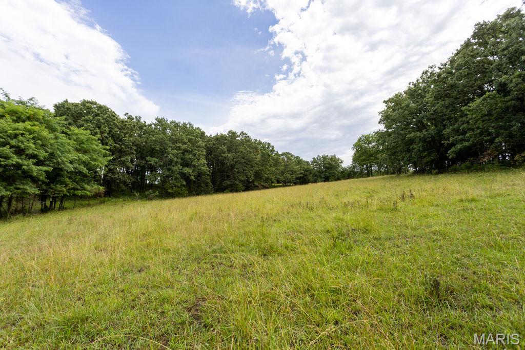 30-ac South 220th Road Half Way, MO 65663 - Photo 10 of 49