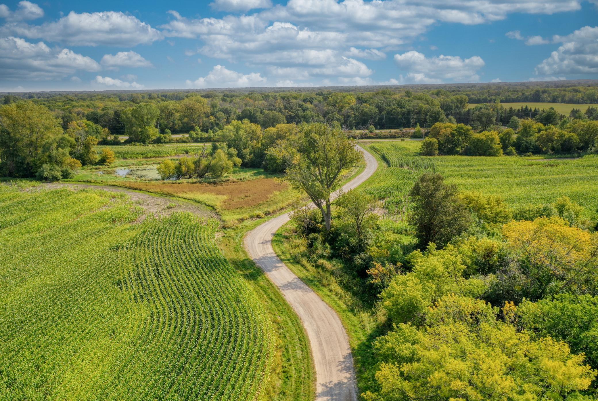 18340 Forest Road North Forest Lake, MN 55025 - Photo 22 of 87
