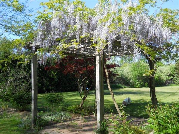 125 Williams Street Wrentham, MA 02093 - Photo 30 of 30