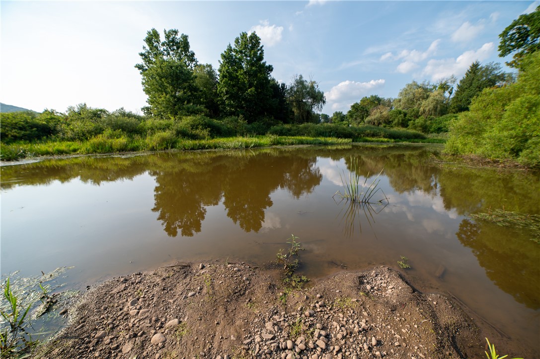 769 County Highway Mount Upton, NY 13809 - Photo 12 of 49