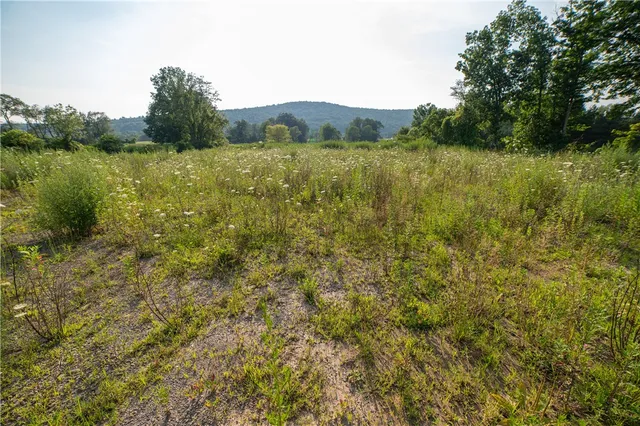 $295,000 | 769 County Highway, Mount Upton, NY 13809