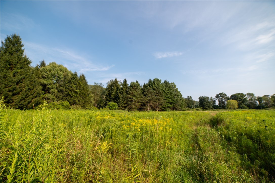 769 County Highway Mount Upton, NY 13809 - Photo 19 of 49