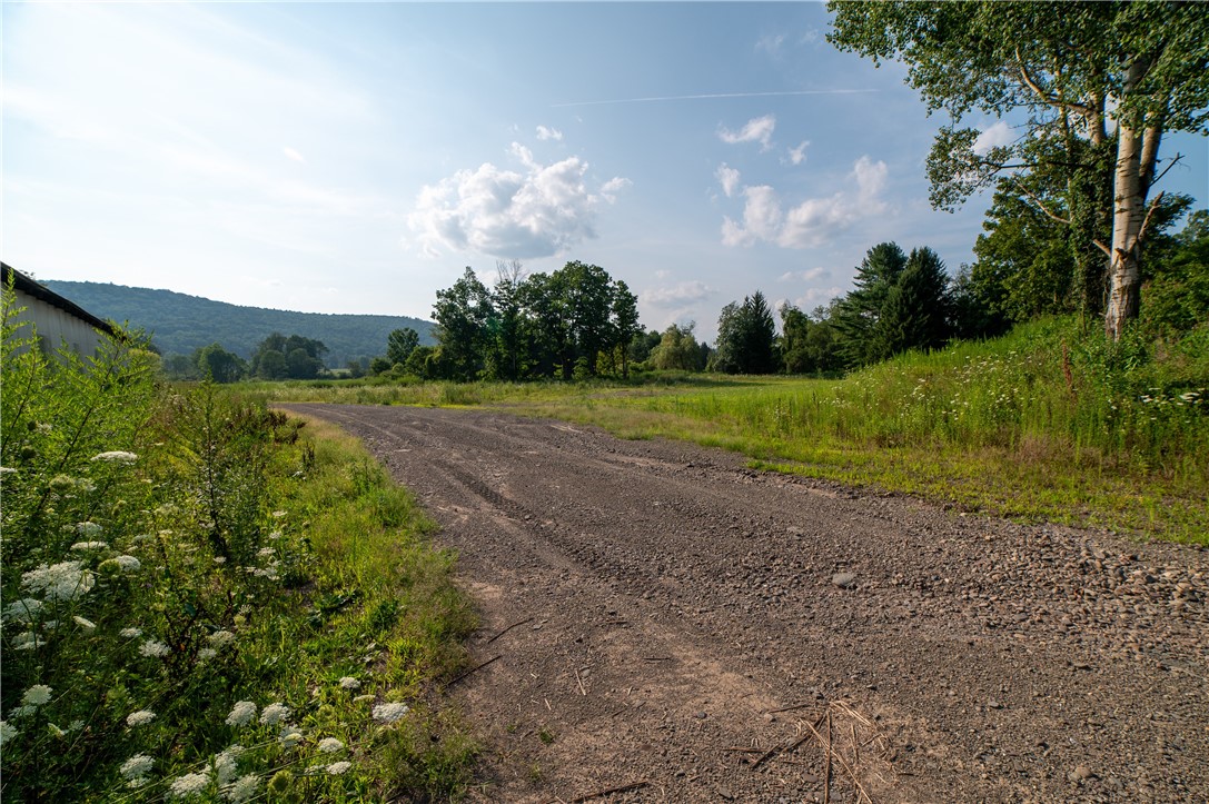 769 County Highway Mount Upton, NY 13809 - Photo 20 of 49
