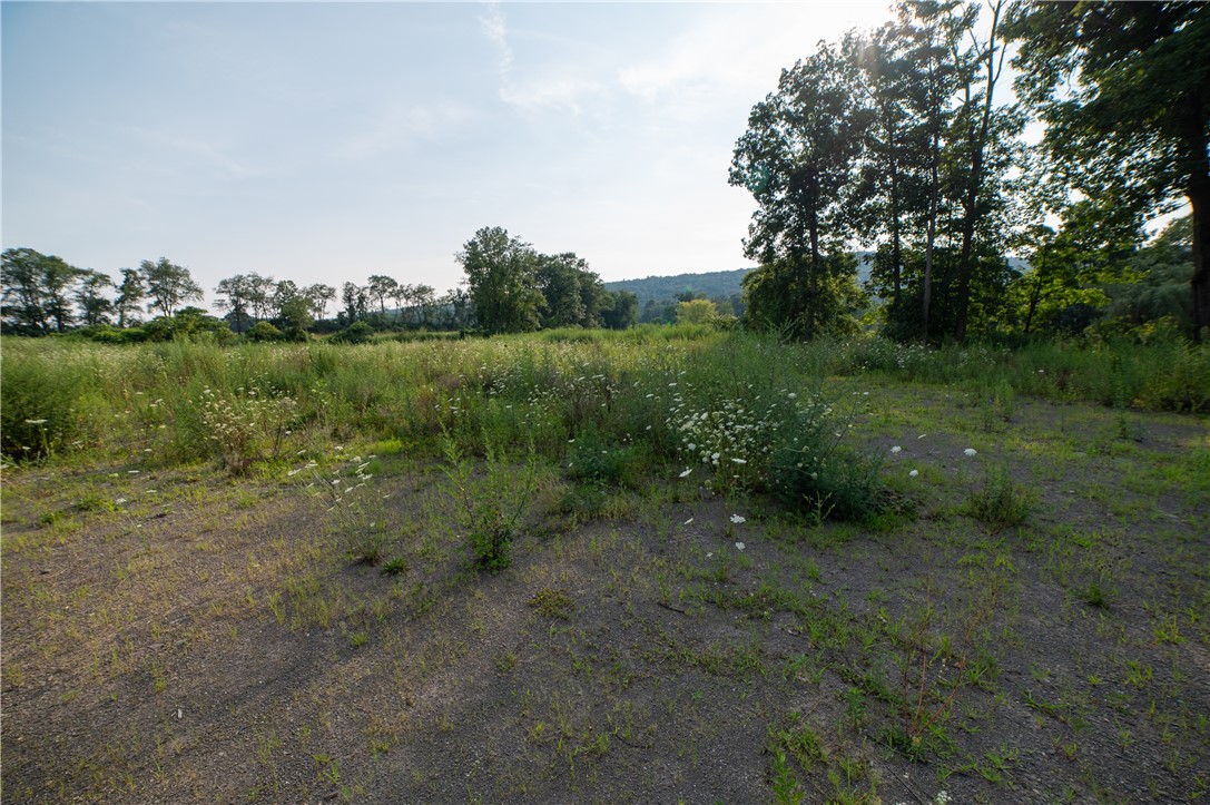 769 County Highway Mount Upton, NY 13809 - Photo 6 of 49