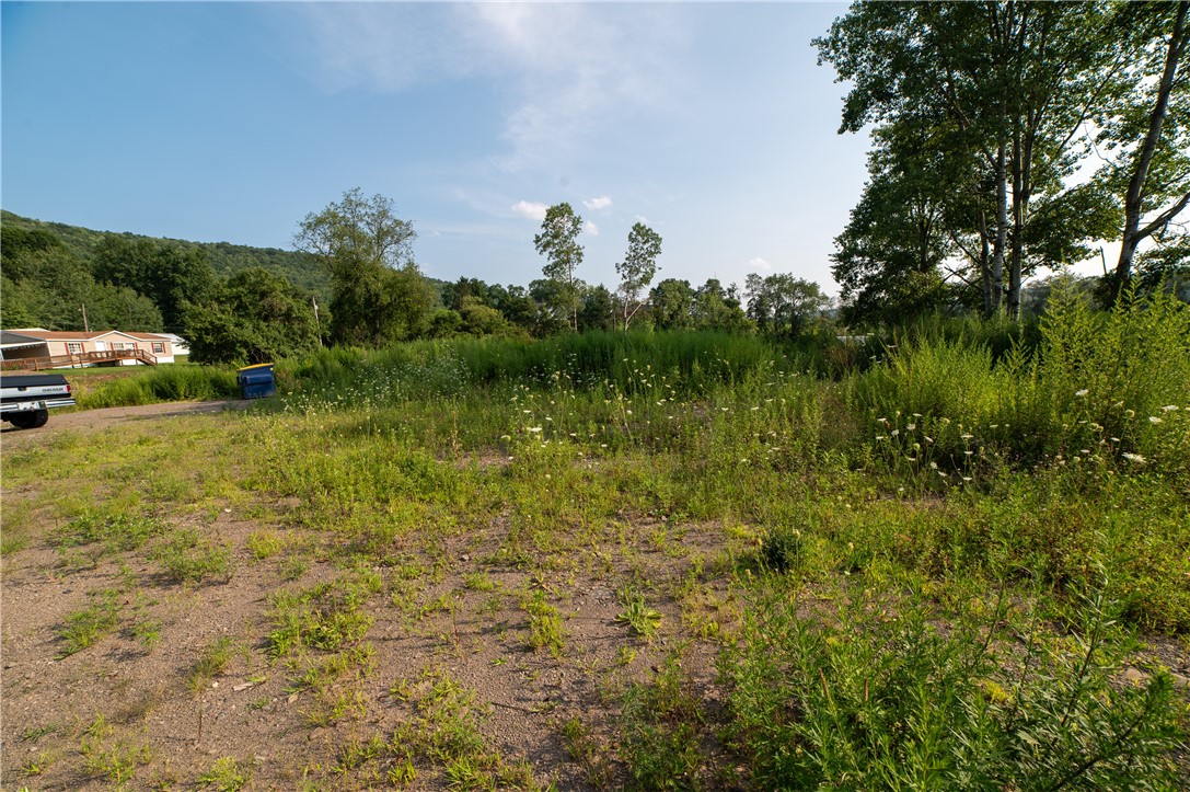 769 County Highway Mount Upton, NY 13809 - Photo 10 of 49