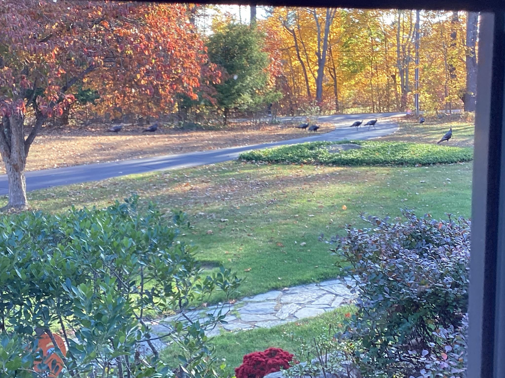 195 Clement Road Rollinsford, NH 03869 - Photo 2 of 48 Gallery Image 2
