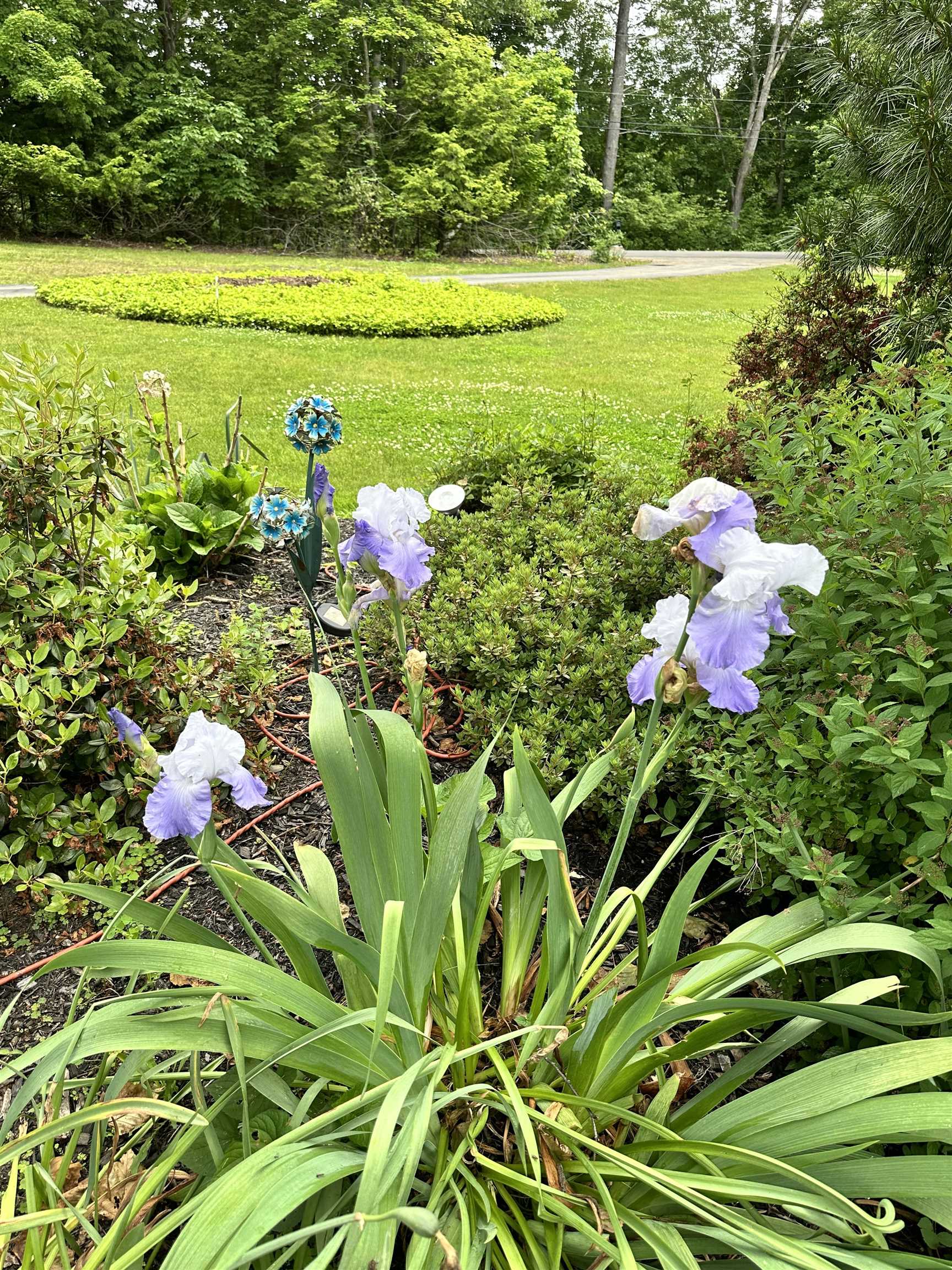195 Clement Road Rollinsford, NH 03869 - Photo 34 of 48 Gallery Image 34