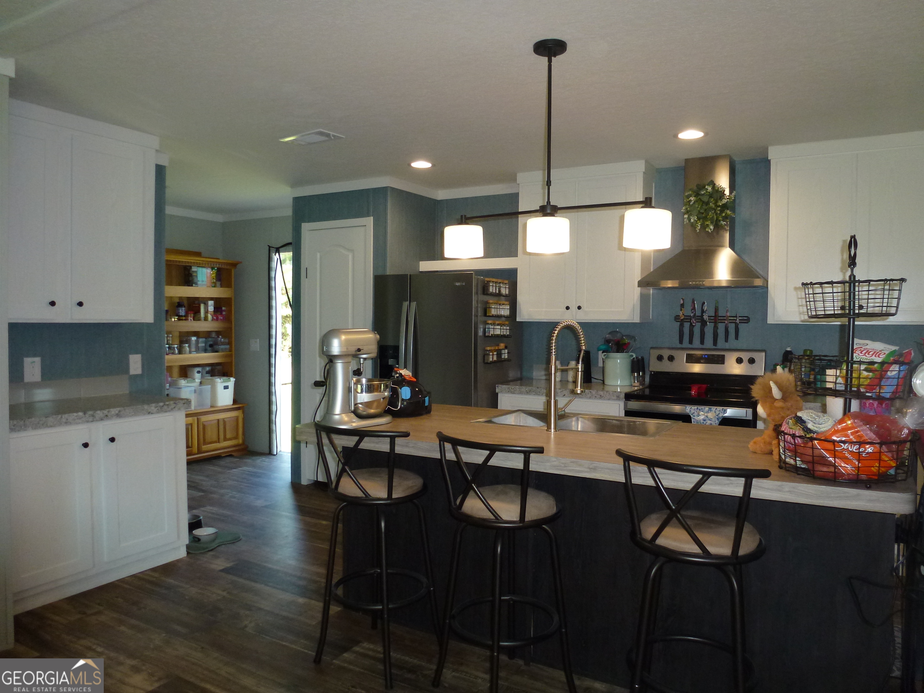 4100 Jeb Court Collins, GA 30421 - Photo 3 of 26