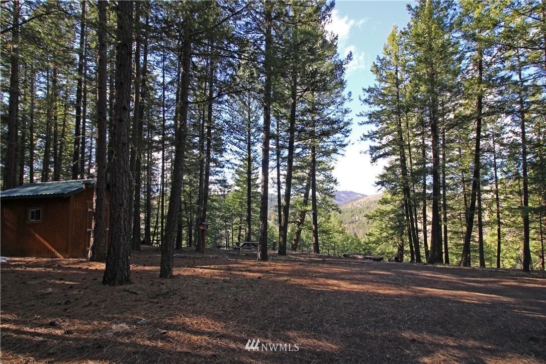 9 South Airstrip Road Twisp, WA 98856 - Photo 1 of 23 Gallery Image 1