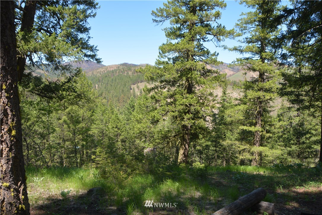 9 South Airstrip Road Twisp, WA 98856 - Photo 11 of 23 Gallery Image 11