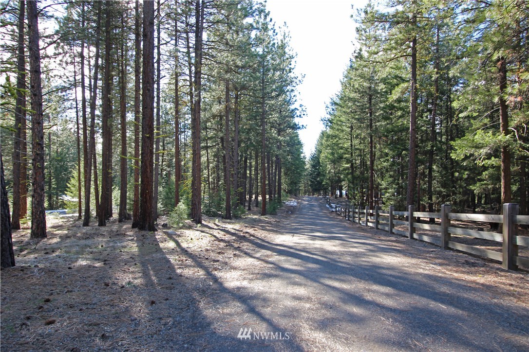 9 South Airstrip Road Twisp, WA 98856 - Photo 14 of 23 Gallery Image 14